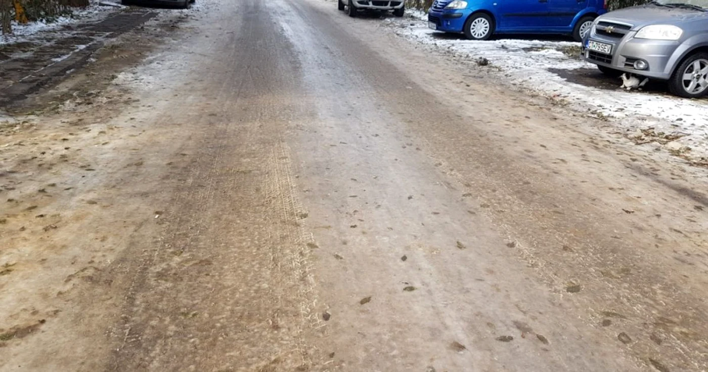 FOTO Călin Gavrilaş