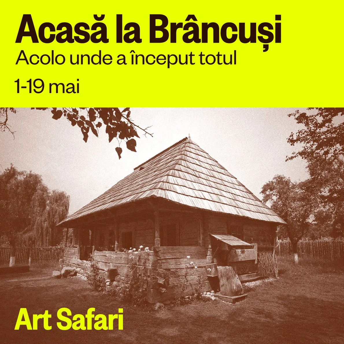Expoziția „Acasă la Brâncuși”