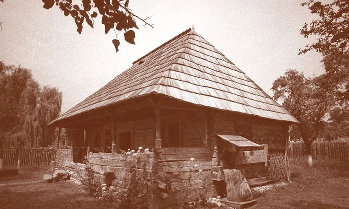 Expoziția „Acasă la Brâncuși”