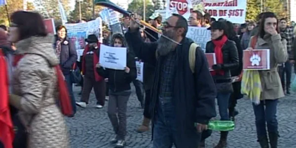 Harry Tavitian la Protestul de la  Constanta