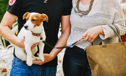 cristina cioran jpeg