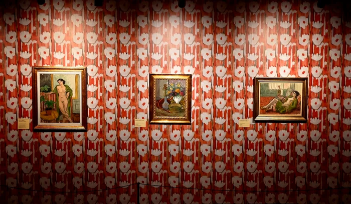 Paris Pallady (6) JPG