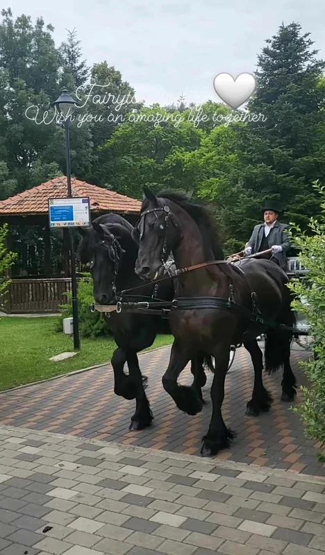 nunta lui Bogdan Jianu cu Cătălina Ponor
