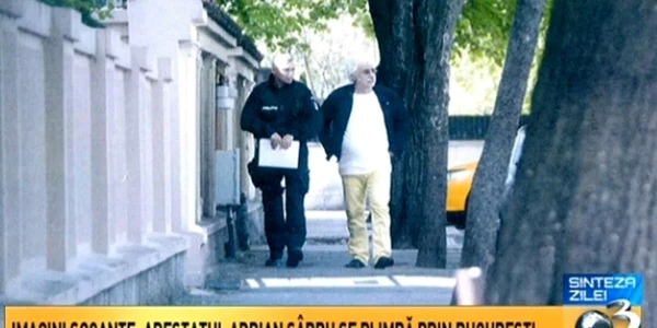 adrian sirbu fara catuse 