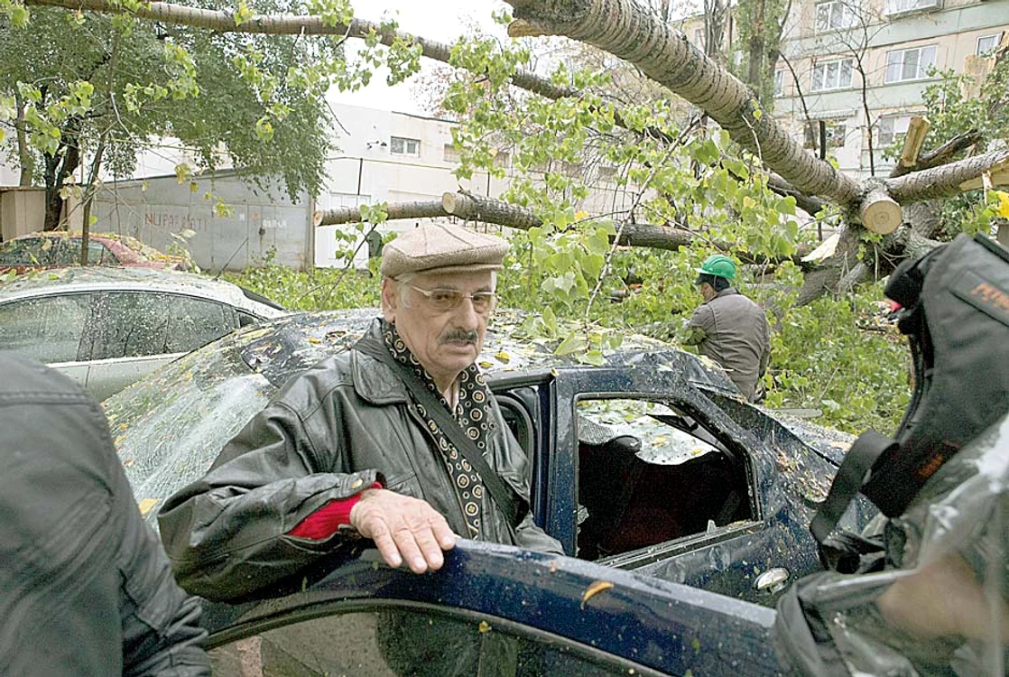 La Galaţi, un plop a distrus trei mașini