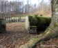 Sarmizegetusa Regia, solstitiu de iarnă  Foto Daniel Guță  ADEVĂRUL (11) JPG