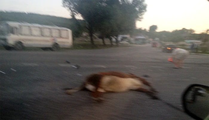 Foto de la locul accidentului