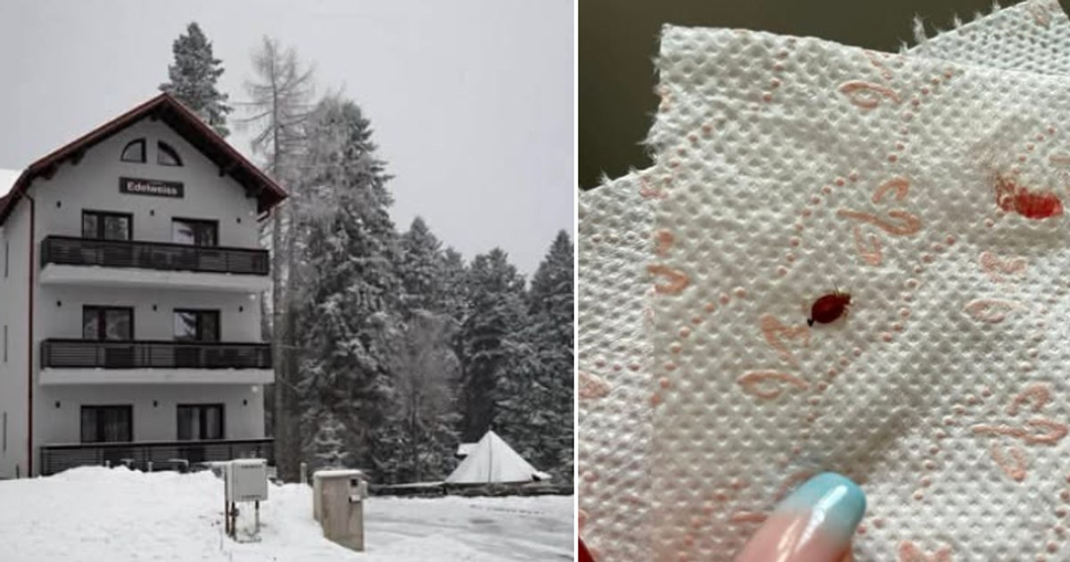 Bărbat internat după ce a fost mușcat de ploșnițe într-o pensiune din Predeal. Ce se întâmplă?