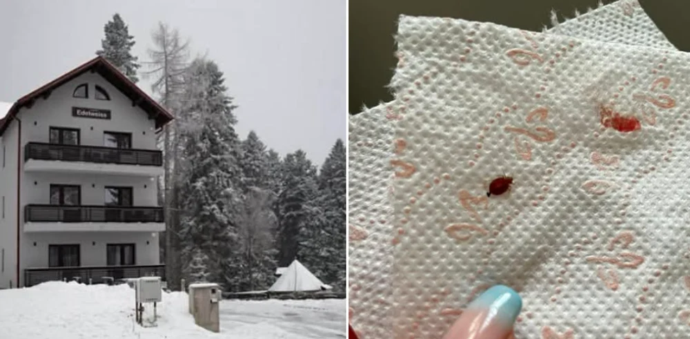 Bărbat ajuns la spital după ce a fost pișcat de ploșnițe într-o pensiune din Predeal. „Nu controlează nimeni turiștii pe corp”