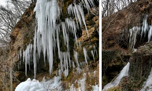 BeFunky collage (40) jpg