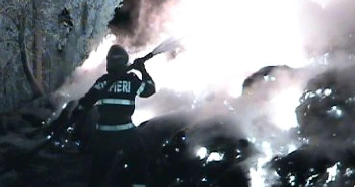 Botoşani: 60 de tone de furaje distruse de un incendiu (VIDEO)