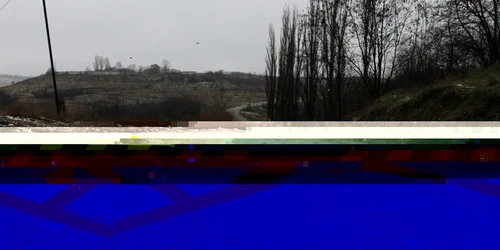 215 hectare revendicate de primarie