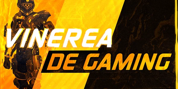 PC Garage Vinerea de Gaming