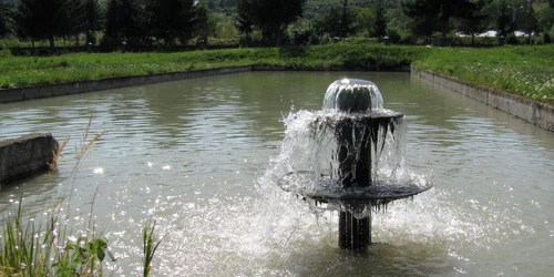 Păstrăvăria Pucioasa