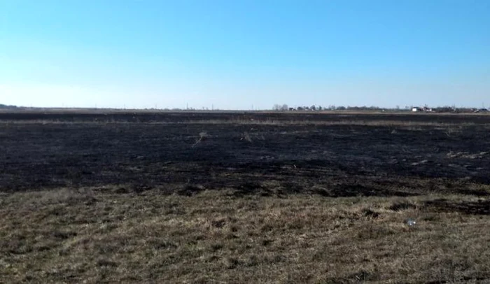 Focul a pârjolit 63 hectare devegetaţie uscată FOTO ISU Ialomiţa