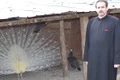 preot george ouatu 0 jpeg