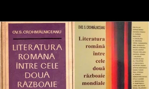 O epocă – în multe feluri de lectură jpeg