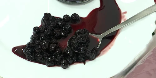 ferma tudor aronia (3) png