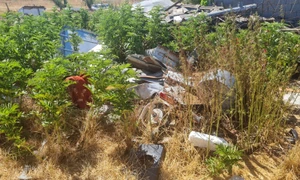 deșeuri periculoase descoperite la o fermă din Arad Foto Poliția Română jpg