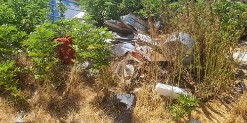 deșeuri periculoase descoperite la o fermă din Arad Foto Poliția Română jpg