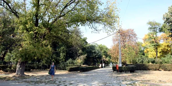 Parcul CFR arată dezolant, Foto: Bogdan Dimofte 