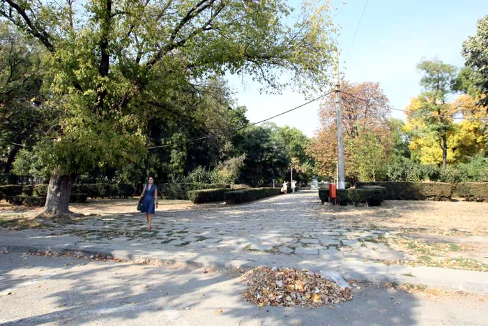 Parcul CFR arată dezolant, Foto: Bogdan Dimofte