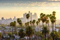 california palmieri istock jpg