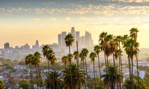california palmieri istock jpg
