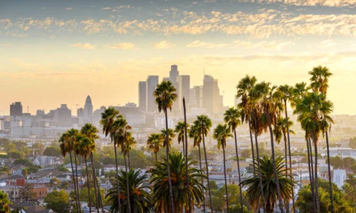 california palmieri istock jpg