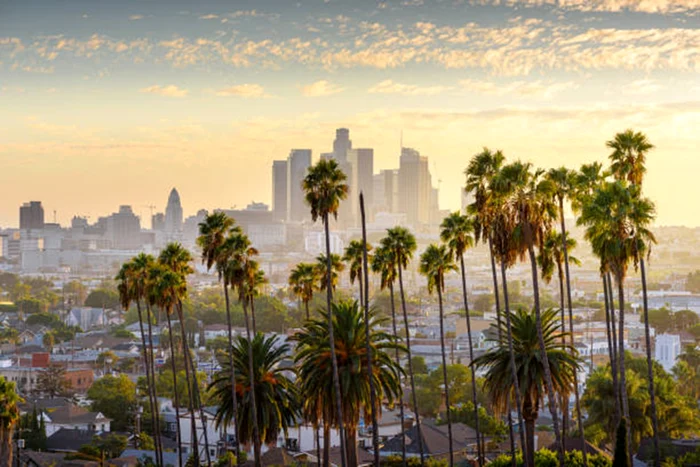 california palmieri istock jpg