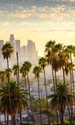 california palmieri istock jpg