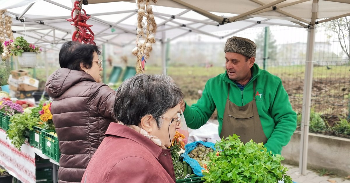 Fermier perseverent: legume proaspete și la finalul sezonului, „Dovleceii și roșiile au avut succes”