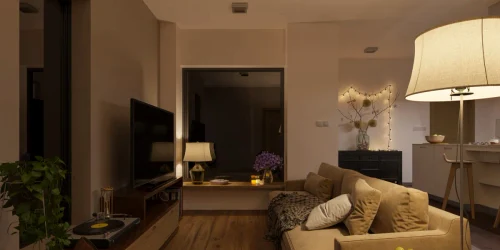 camera lumina slaba FOTO iSTock webp