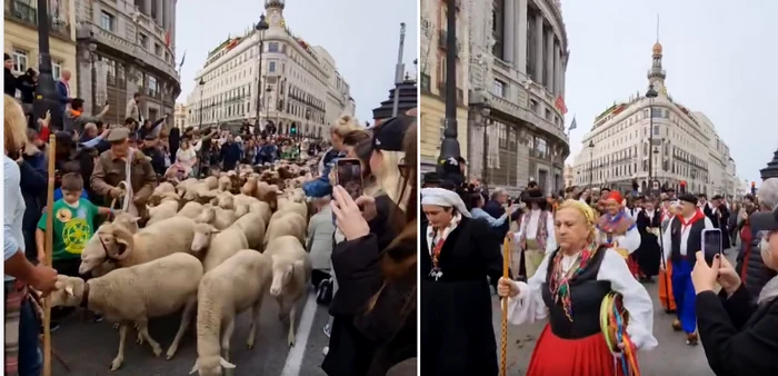 Transhumanță în Madrid. FOTO captură video Facebook José Luis Fernández-Tostado