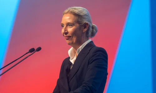 alice weidel png