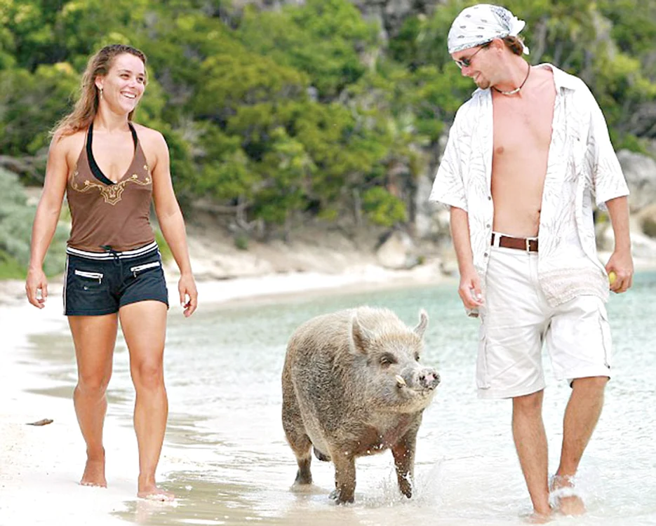 Viaţă luxoasă de porc!