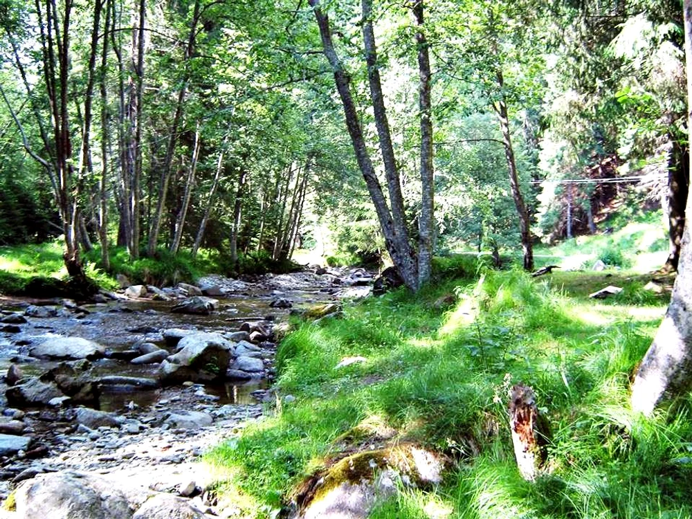 Valea Vâlsanului, o minune a naturii FOTO Facebook/Valea Vâlsanului
