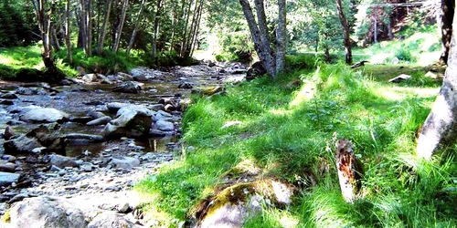 site 1 ianuarie Valea Valsanului foto Facebook Valea Valsanului jpg