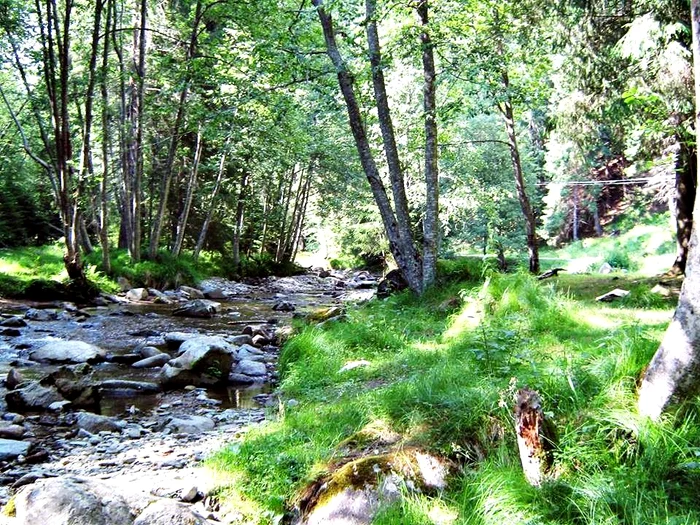 Valea Vâlsanului, o minune a naturii FOTO Facebook/Valea Vâlsanului
