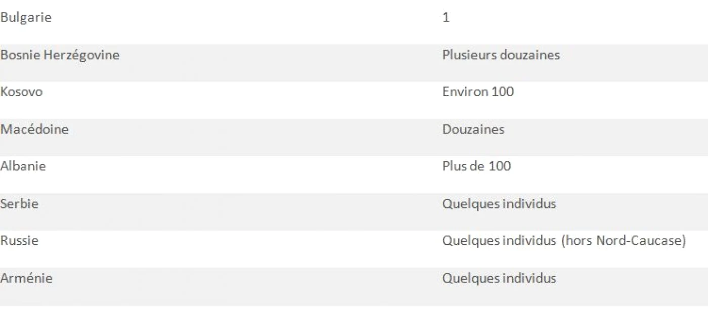 tabel luptatori straini siria 