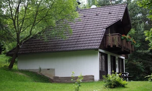 hans house 590714 jpg