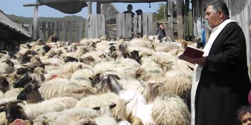 5af1787ddf52022f75b85463 jpg