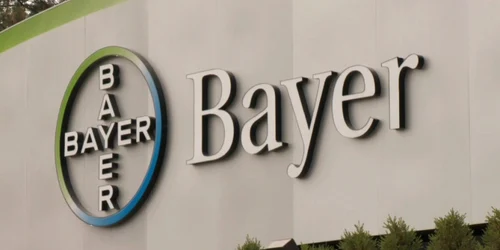 bayer