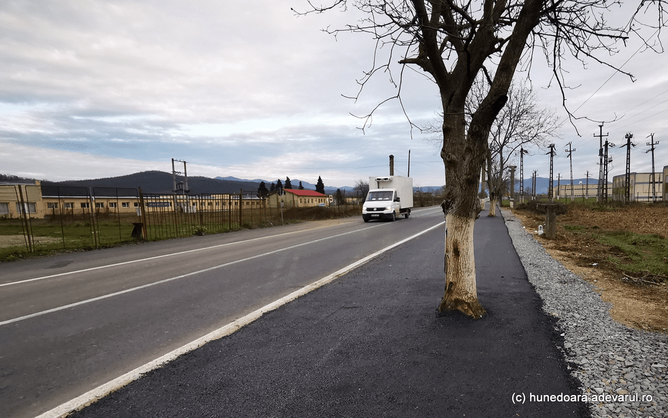 Șoseaua din Hunedoara care i-a uimit pe șoferi. „Au crescut copacii prin asfalt” VIDEO