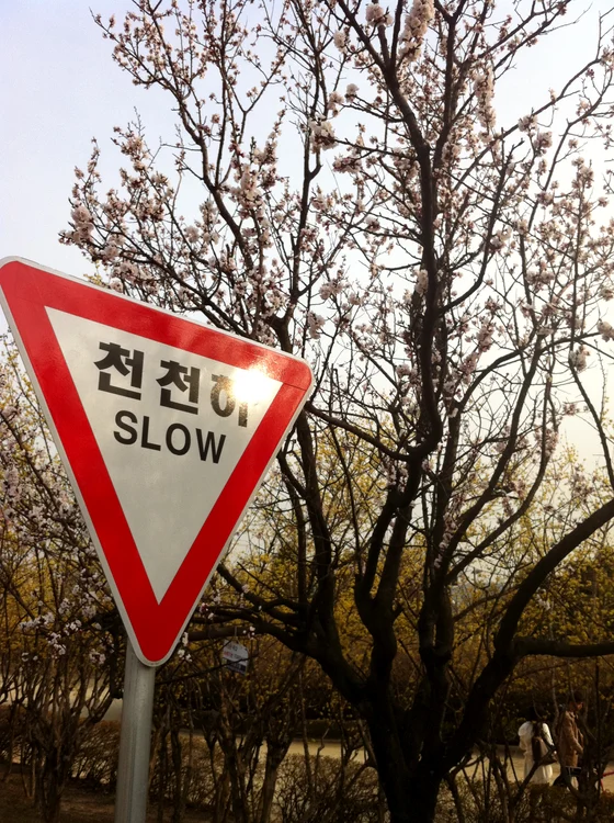Baia comunală jpeg