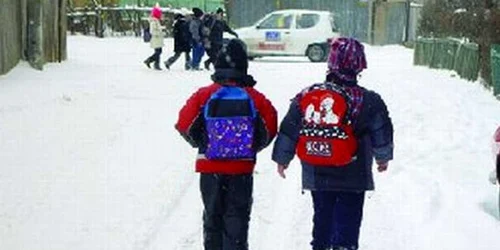 Peste 200 de elevi din județul Hunedoara nu pot ajunge în sălile de curs