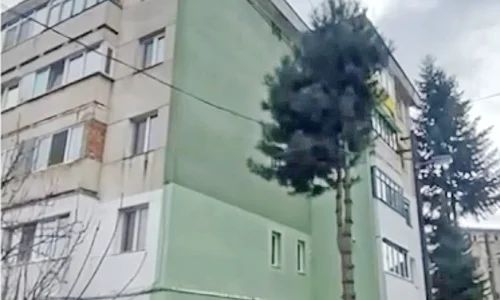 bloc reghin jpg