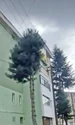 bloc reghin jpg