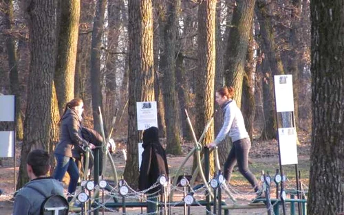 fitness platoul cornesti