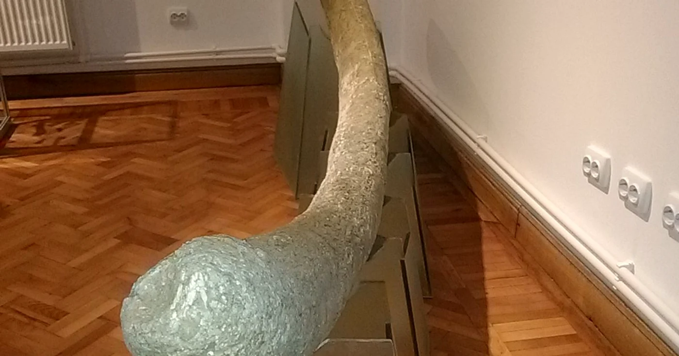 Muzeul Evouluţiei Omului şi Tehnologiei în Paleolitic este unic în ţara şi la doar un an de la deschidere a înregistrat mii de vizitatori